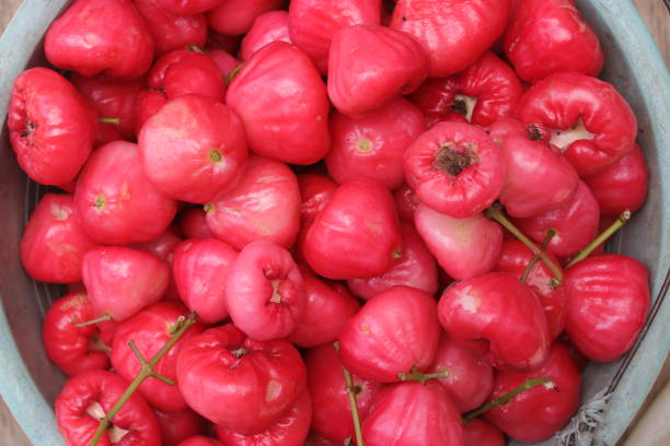 istock Water apples freshly harvested from a garden 1812509750