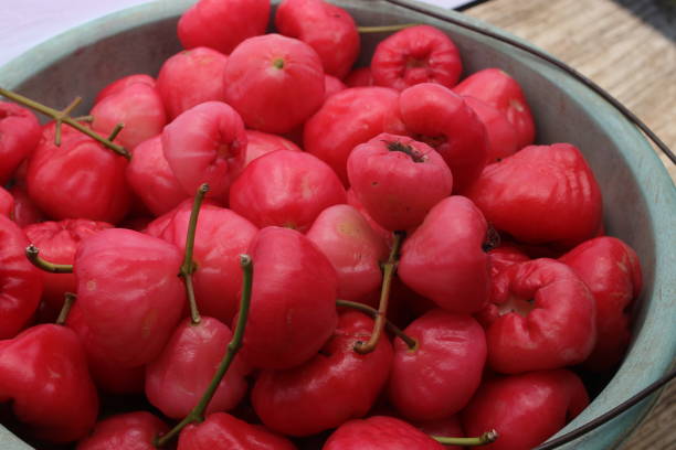istock Water apples freshly harvested from a garden 1812512385
