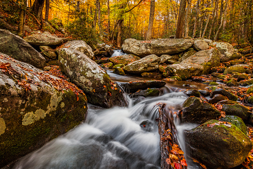 Autumn stream in the Roaring Fork Motor Trail in the Smokies