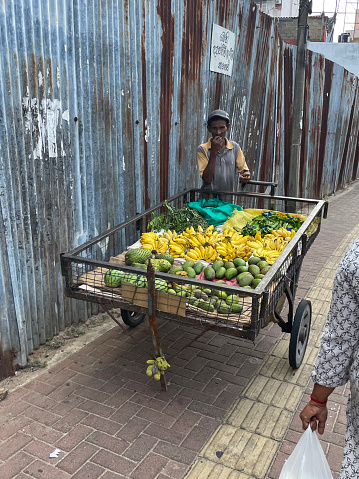 Delhi, India - January 16, 2023: Stock photo showing close-up view of market vendor pushing handcart loaded with piles of fruit, including bananas, green coconuts and watermelons, through a residential district.