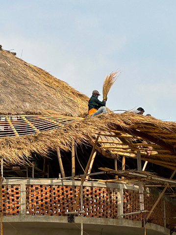 Goa, India - January, 16 2023: Stock photo showing workmen perched on the top of a roof layering dried straw to build a thatched roof on a residential building. Not only does the densely packed natural material stay dry in wet conditions but it is a good insulator to retain heat in the building.