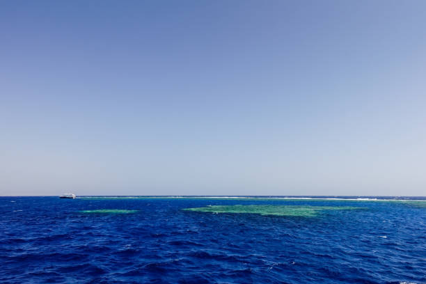 wonderful coral reef with deep blue water and blue sky on vacation in egypt