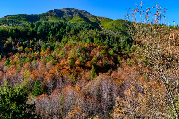 istock Automne en Corse 1812719373