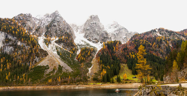 dachstein 산 정상과 푸른 호수가 있는 gosausee는 목가적인 다채로운 가을 풍경 배경으로 - 5601 뉴스 사진 이미지