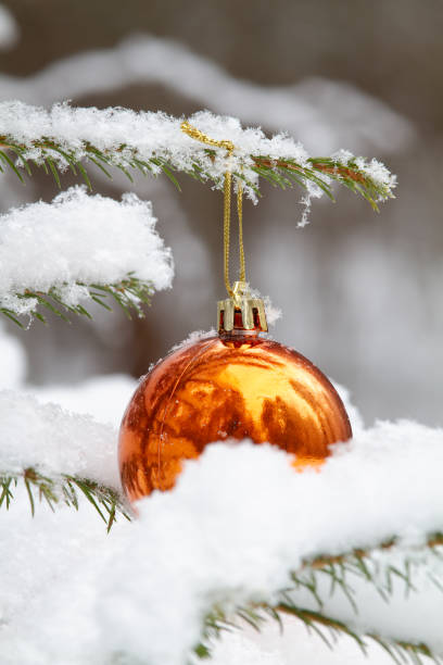 istock a Christmas tree toy is hanging among the snow covered branches 1812760928
