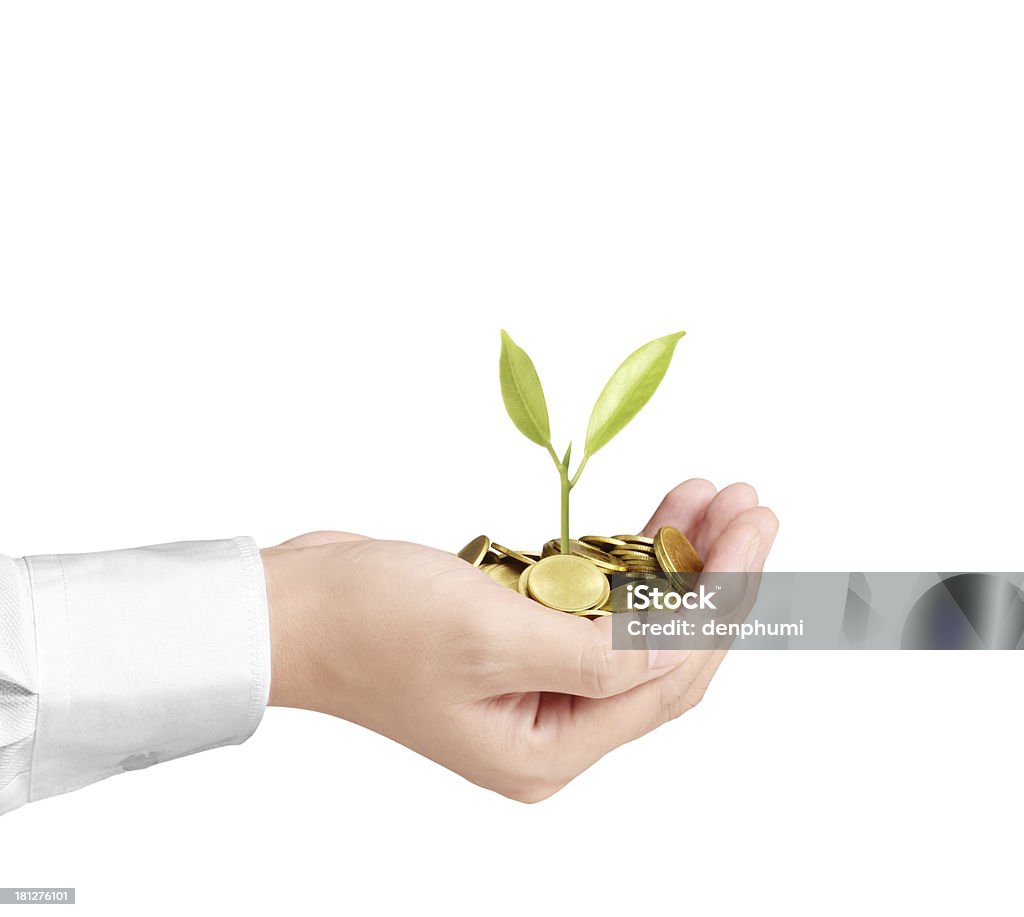 Держит растение Пророщенная из немногих монет - Стоковые фото Американская валюта роялти-фри