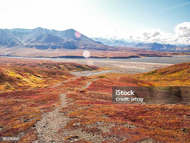 Photo libre de droit de Parc National De Denali banque d'images et plus d'images libres de droit de Alaska - État américain - Alaska - État américain, Arctique, Automne