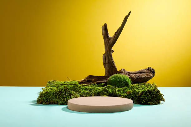 istock PODIUM - MOCKUP COSMETIC 1812768855