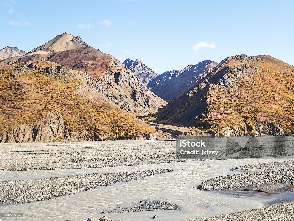 Parque nacional Denali - Foto de stock de Aire libre libre de derechos