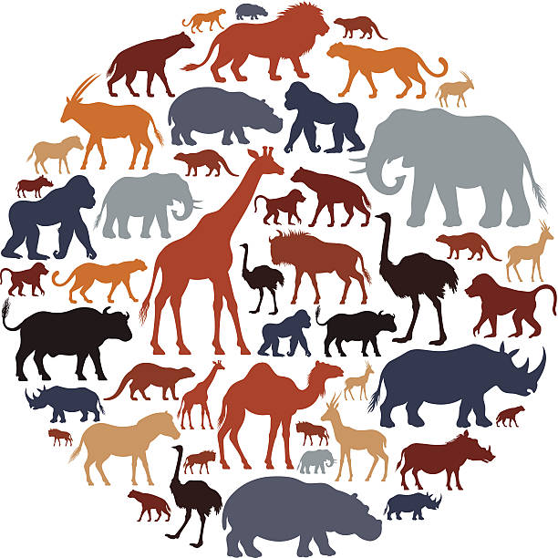 ilustraciones, imágenes clip art, dibujos animados e iconos de stock de icono de animales africanos composición - monkey baboon elephant ape