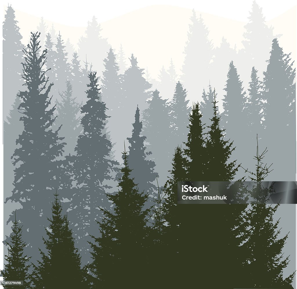 Conifer Tree Vector Conifer Tree Forest Stock Illustration - Download Image Now ...