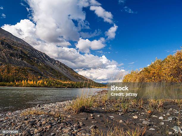 Photo libre de droit de Alaska En Automne banque d'images et plus d'images libres de droit de Culture de l'Alaska - Culture de l'Alaska, Alaska - État américain, Arbre