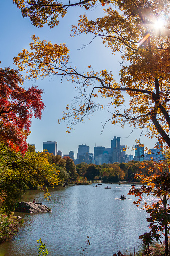 Autumn Day by the Lake in Central Park - Manhattan, New York City