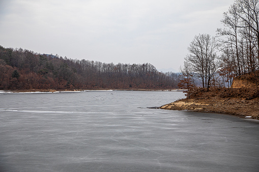 winter landscape