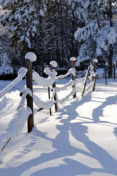 Snowy reflection. stock photo