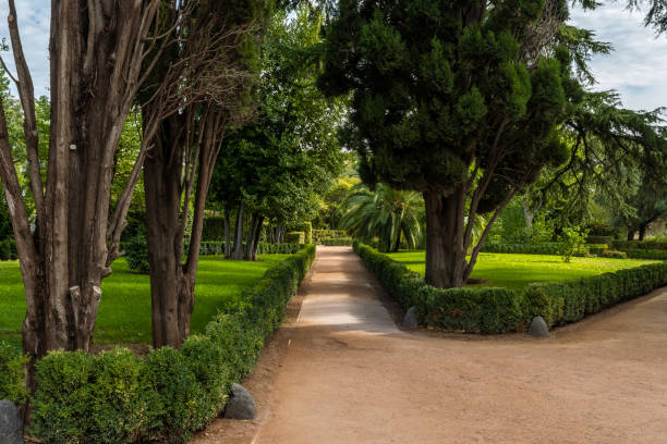 istock Garden with some trees in the Palatine Hill, Rome 1812851455