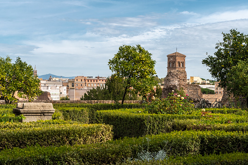 Garden with some trees in the Palatine Hill, Rome