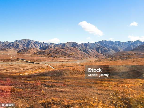 Denali National Park Stockfoto und mehr Bilder von Alaskisch - Alaskisch, Gebirge, Landschaftspanorama