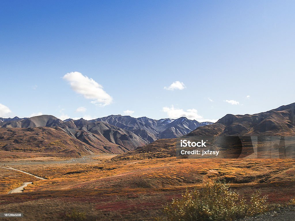 Denali national park - Lizenzfrei Alaska - US-Bundesstaat Stock-Foto