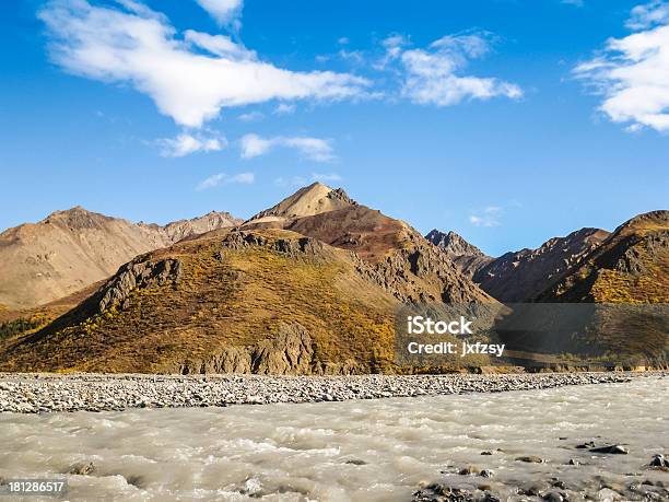 Parque Nacional De Denali - Fotografias de stock e mais imagens de Alasca - Alasca, Alto - Descrição Física, Amarelo