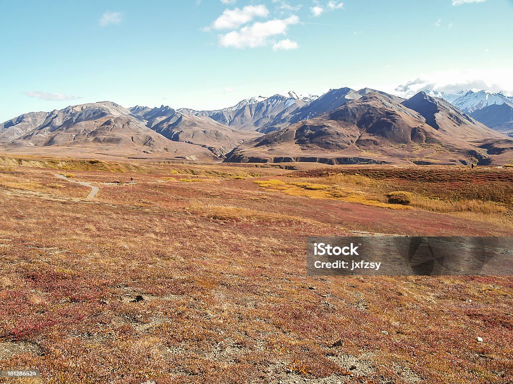 Parc national de Denali - Photo de Alaska - État américain libre de droits