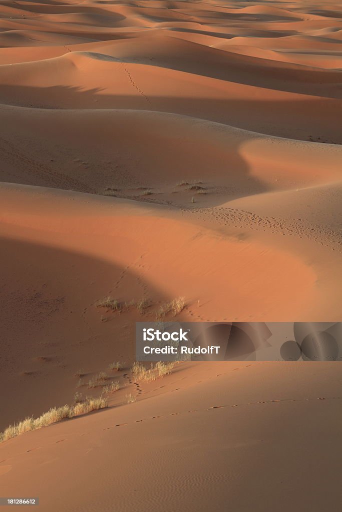 Erg Chebbi Dunes of Erg Chebbi, Morocco Abandoned Stock Photo