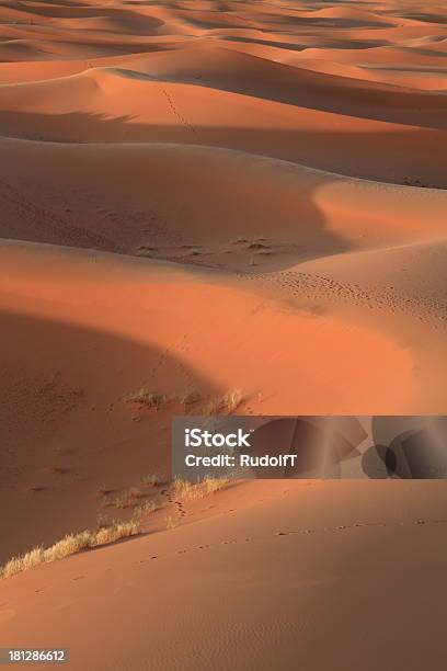 Foto de Erg Chebbi e mais fotos de stock de Abandonado - Abandonado, Areia, Arábia