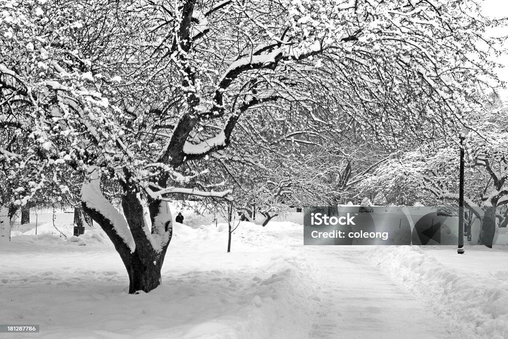 Boston de inverno - Foto de stock de Arquitetura royalty-free