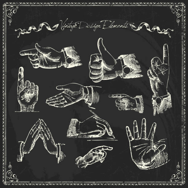 Chalk drawings of different hand gestures vector art illustration