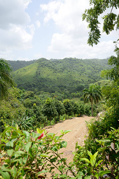 istock dirt road in the mountains 181288156
