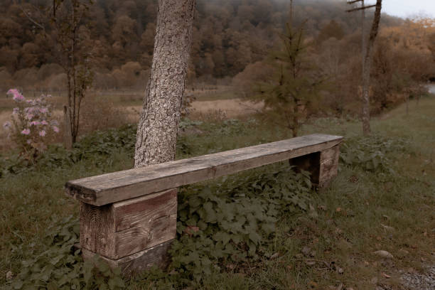 istock An empty wooden bench on a village street 1812891509