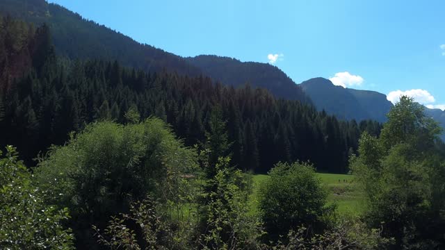 Mountains in Austria along a stream