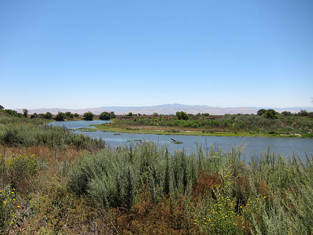 istock San Joaquin River in Central Valley, California 181291001