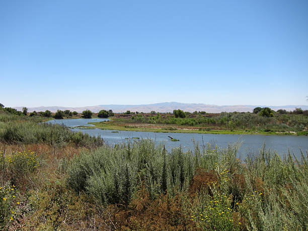 san joaquin river, no central valley, califórnia - san joaquin valley - fotografias e filmes do acervo