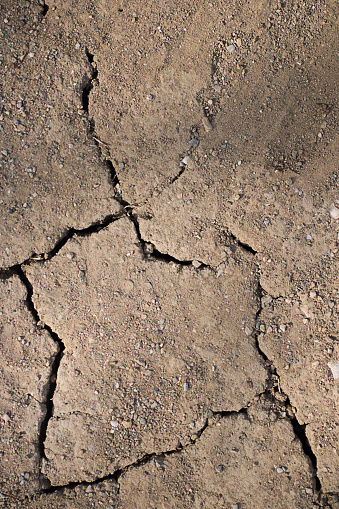 Dry cracked land-global warming