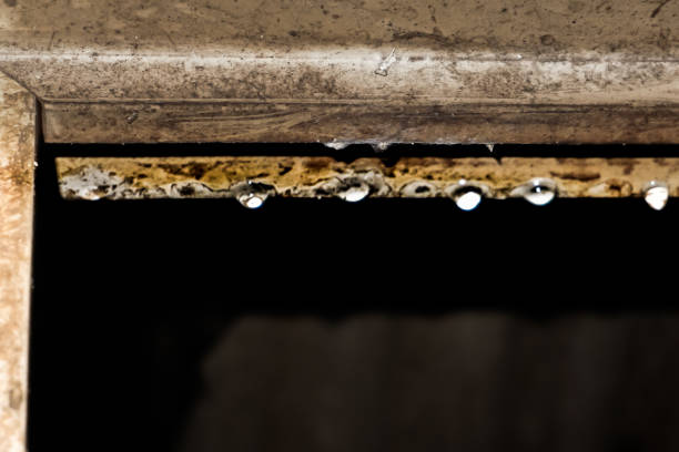 Rain drops