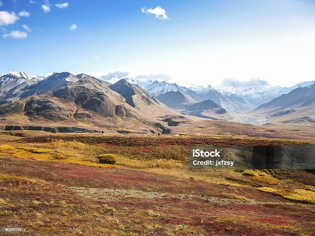 Parque nacional Denali - Foto de stock de Tundra libre de derechos