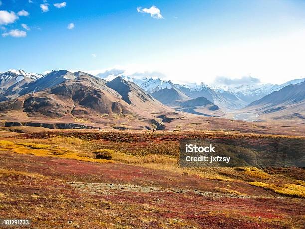 Parque Nacional Denali Foto de stock y más banco de imágenes de Tundra - Tundra, Parque Nacional Denali, Cultura de Alaska