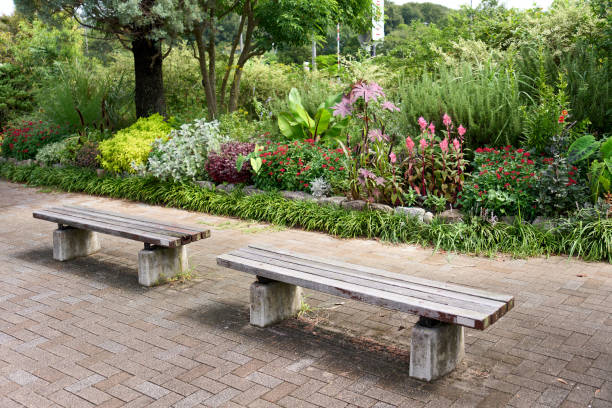 istock Wooden bench with flower bed in the background 1812920009