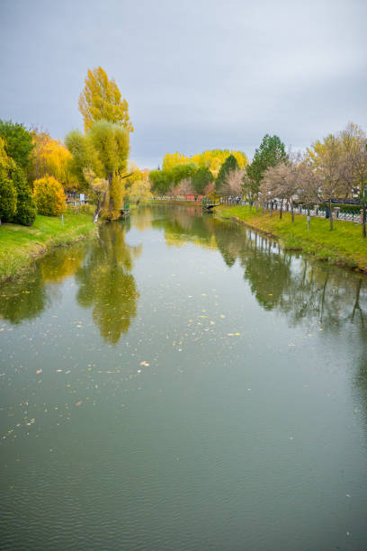 Autumn landscape reflected in the river stock photo