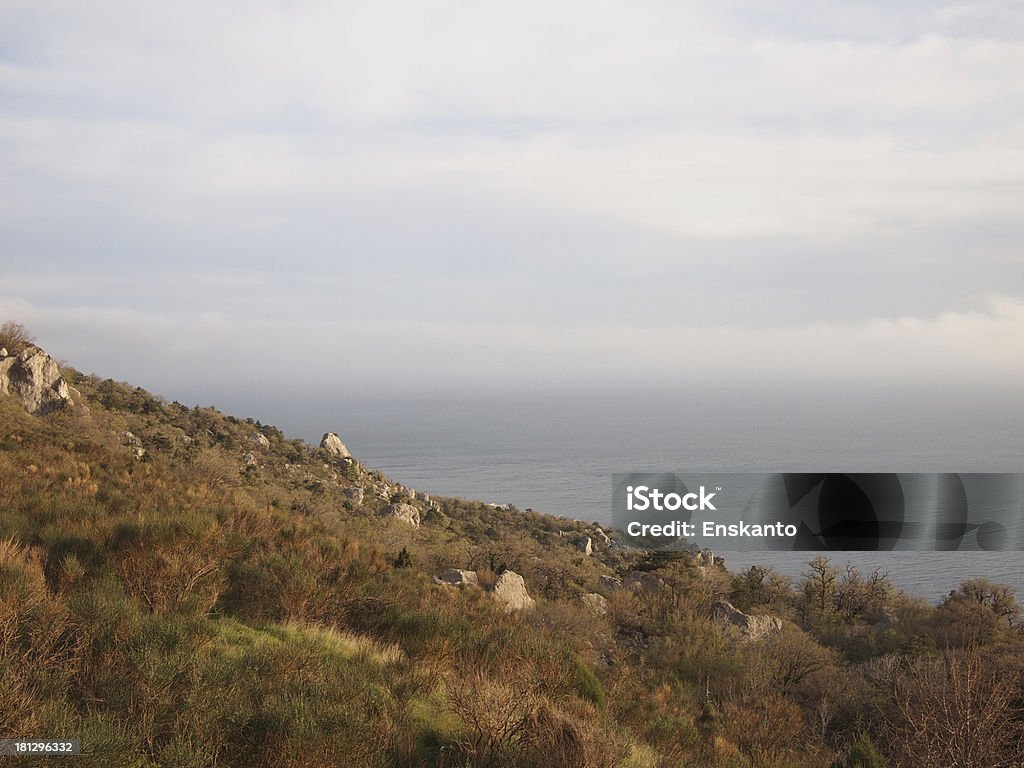 Rock, árboles, el mar y el cielo - Foto de stock de Aire libre libre de derechos