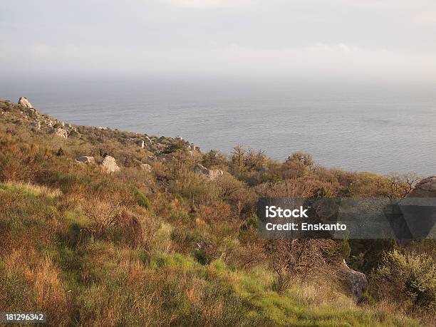 Rock Cielo E Mare - Fotografie stock e altre immagini di Albero spoglio - Albero spoglio, Altopiano, Ambientazione esterna