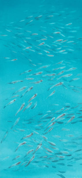 istock A flock of small fish in a sea watercolor background 1812973100