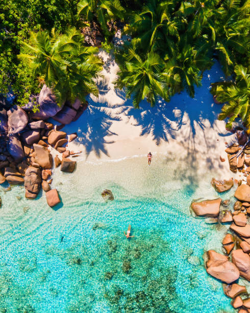 istock Praslin Seychelles tropical island with withe beaches and palm trees, couple men and women mid age on vacation at the Seychelles visiting the tropical beach of Anse Lazio Praslin Seychelles 1812974301
