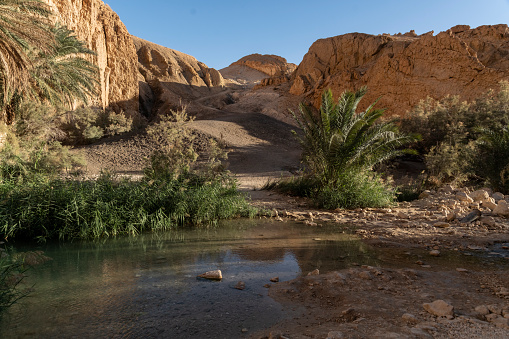 Small puddle of water seeping out of the ground in the Tunisian desert