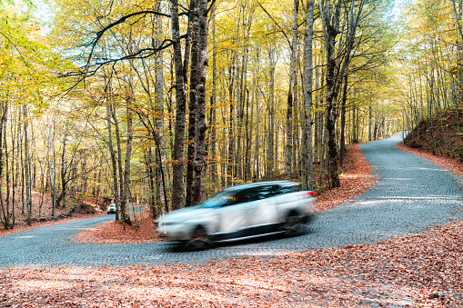 Winding road in Bolu Yedigöller National Park. winding road paved with cobblestones. In autumn, the leaves have fallen. Taken in daylight with a full frame camera.