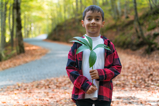 Portrait of boy in Bolu Yedigöller National Park.Behind him, a winding road through the forest can be seen. The child smiles looking at the camera. He is holding a leafy tree branch in his hand. During the autumn season, he can stay in touch with nature among the deciduous trees. Taken in daylight with a full frame camera.