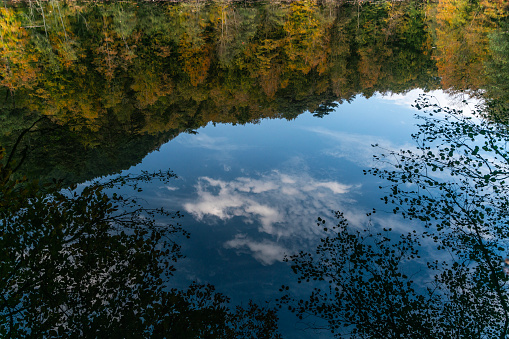 Autumn foliage on the shoreline of a lake in the north countryside of Maine