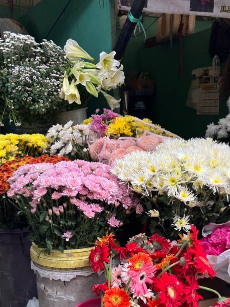 istock Lots of flowers 1813000276