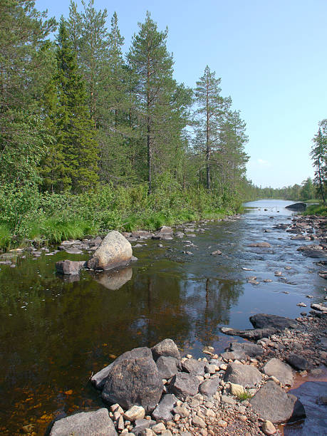 istock Coast of the river 181300402